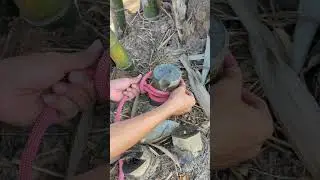 Pile Hitch/ A Great Easy Rope Skills.