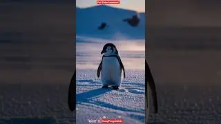A Lonely Penguin Finds Music ❄️🐧