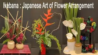 Ikebana Exhibition in Mumbai - A Japanese Art of Flower Arrangement
