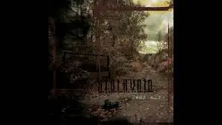Stalkvoid - Dead air (2025 Full Album) (Dungeon Synth/Dark Ambient/Ambient/Drone/Experimental)