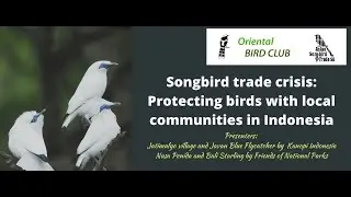 Songbird trade crisis: Protecting birds in Indonesia | OBC Webinar Series | July 2022
