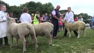 Castlerea Show 2016