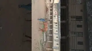 આવા પંજાબ બ્લેક ઘોડા રામમઢી સુરત #viral #animals #shorts #vlog #
