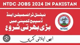 Exploring Opportunities: National Transmission and Despatch Company Jobs