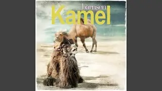Kamel