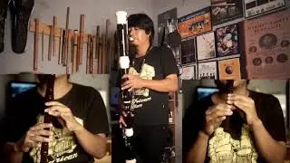 The Chicken - Jaco Pastorius (Recorder Cover)