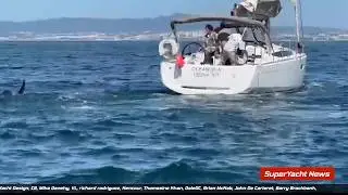 ВИДЕО: Новая атака ORCA потопила парусное судно! | SY Clips