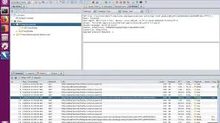 How to Intercept HTTP Requests with OWASP ZAP