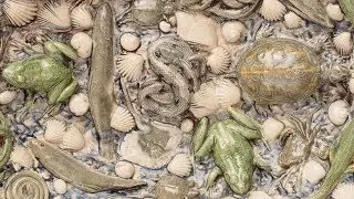 L'&OElig;uvre en sc&egrave;ne :  Les &laquo; rustiques figulines &raquo; de Bernard Palissy