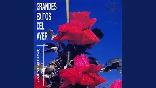 Se Fue Mi Corazón Detrás de Ti