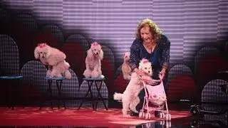 Araceli Domínguez, la encantadora de perros - TALENTO CHILENO 2013