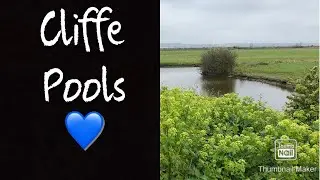 Rspb Cliffe Pools