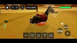 I played dead rails by myself 