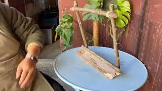 农村小哥用树枝造窗景！多肉盆栽秒变自然治愈系 | Rustic Window Frame DIY with Succulents