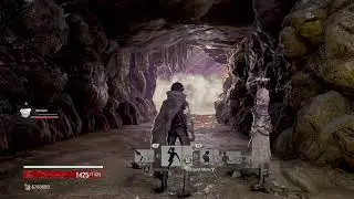 Code Vein coop