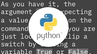 Python argparse command line flags without arguments