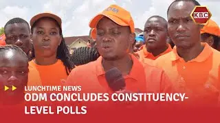 ODM Concludes Constituency-Level Polls