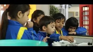 Math & Science Week | Kinesthetic Intelligence |Gardner's Multiple Intelligence Theory