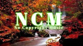Sunshine - The Mini Vandals Happy No Copyright Background Music ( NCMC Release)