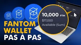 Comment utiliser fWallet ?/ Animation