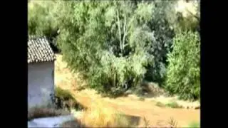 Mi pueblo Puente Genil