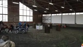 Prvni kolo, halov&eacute; z&aacute;vody spřežen&iacute;, Jiri Nesvacil (senior), 2016
