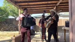 Triste Gaviota - Abel Beltran y Javieron Beltran de Los Morros del Norte y Homi Tololoche