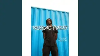 MISSING PIECES