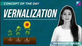 Vernalization - Plant Growth and Development Class 11 Biology (Botany) Concept | NEET 2023 Exam