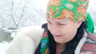 29 января 2026 г.