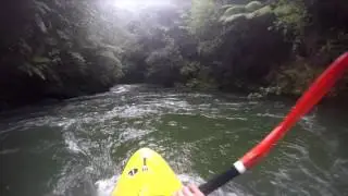The Kaituna 
