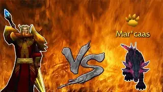 Batalha de Mascotes - Palap&atilde;o vs Mar'caas