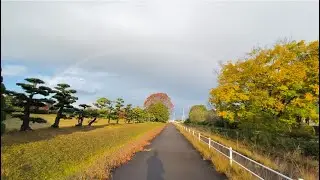 【サイクリング】尾張水道みち 稲沢市堀之内町〜儀長町2025年11月下旬