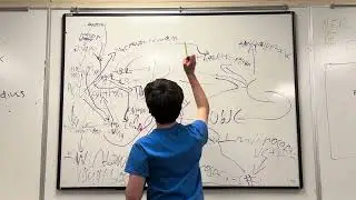 evolution of coding languages