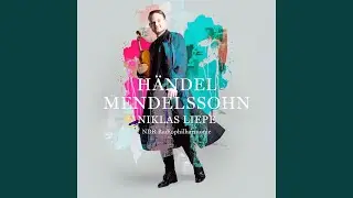 Violin Concerto, Op. 64/MWV O14: I. Allegro molto appassionato