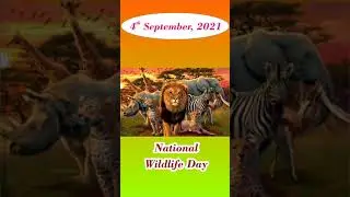 4th September, 2021 - What are the national and international days celebrated?
