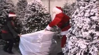 ABC Christmas Tree Farms Best in the SF Bay Area 13 locations Bounce House Super Slide