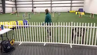 Echo | CPE Full House Level Two