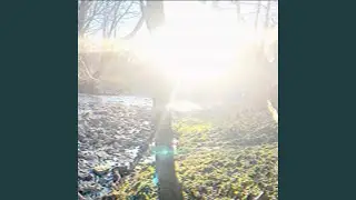 Pixie Dust