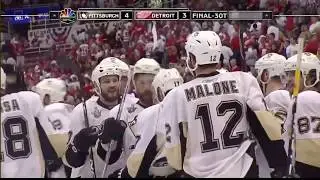 Petr Sykora Triple Overtime Goal - 2008 Finals: Game 5 Penguins @ Red Wings [HD]
