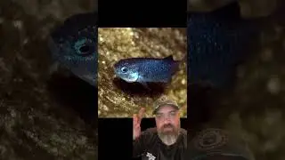 Devils Hole Nevada Mysteries