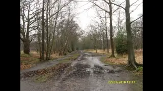 THEYDON BOIS TO EPPING (22.1.16)