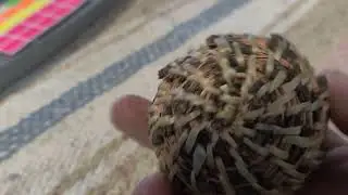 a quick view of a handwoven pine needle basket