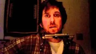 Seth Murley-Yellow Leaves (original song)