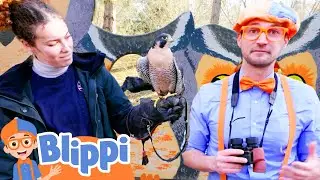 Blippi Hangs with Forest Animals at the Nature Center + More | Blippi Animal Videos For Kids