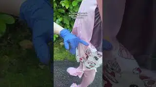 Открыта для предложений по косплею розовой девушки! #homuramomiji #drstonecosplay #cosplaytutoria...