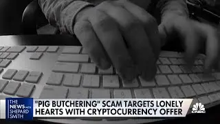 'Pig butchering' scams target the lonely