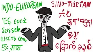 What are Language Families, Explained