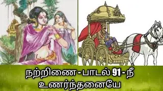நற்றிணை/ பாடல் 91/விளக்கம்/நீ உணர்ந்தனையே/Natrinai 91/நீ உணர்ந்தனையோ@தமிழ்கணேஷ்
