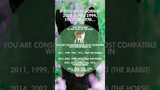 Year Of The Dog Chinese Zodiac #numerology #chinesezodiac #astrology #dog #lawofattraction #manifest